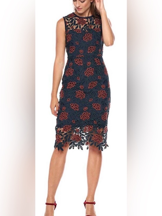 cupcakes & cashmere Dresses & Skirts - Cupcakes and Cashmere Mandolin Floral Lace Dress 8 Floral Embroidered Lace Party